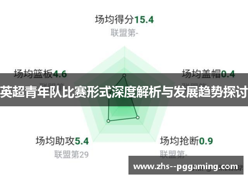 英超青年队比赛形式深度解析与发展趋势探讨